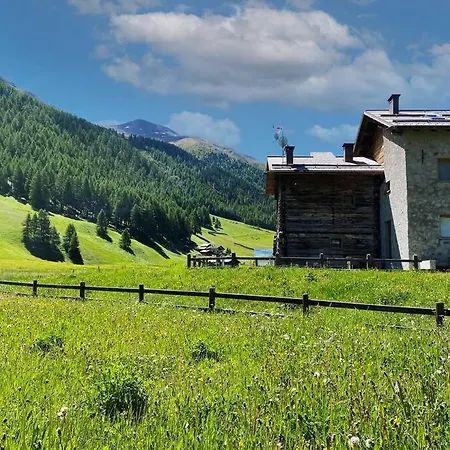 Apartment Horizon - *